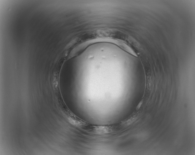 X0000072940091200608041253