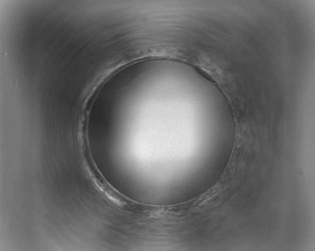 X0000072940098200608041252