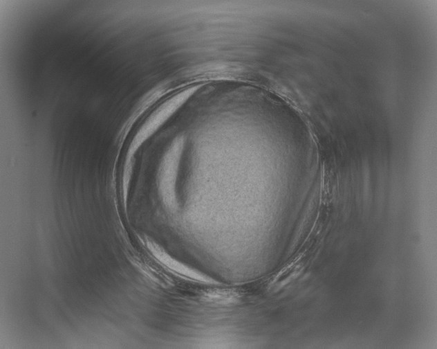 X0000072940099200608041252