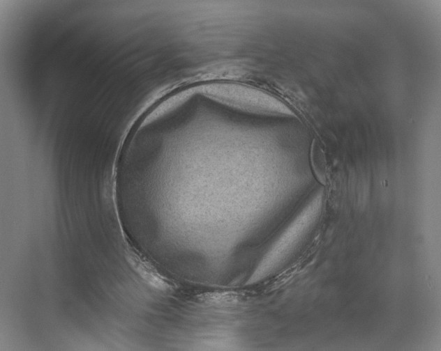 X0000072940100200608041252