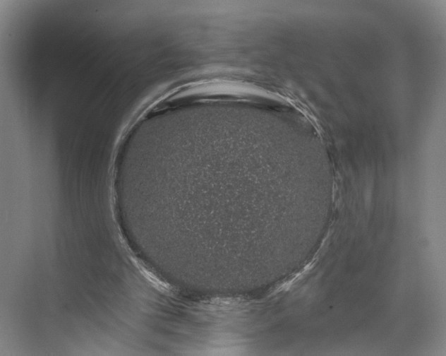 X0000072940101200608041252