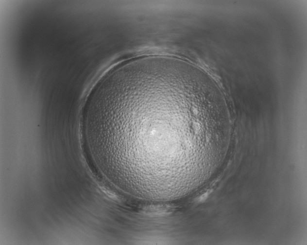 X0000072940103200608041252