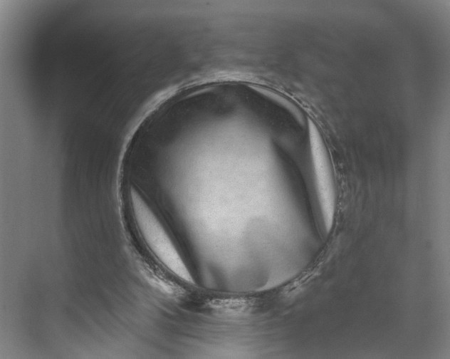 X0000072940104200608041252