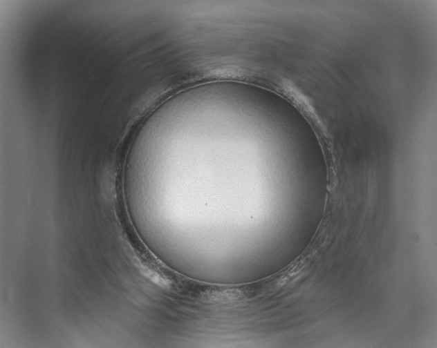 X0000072940106200608041252