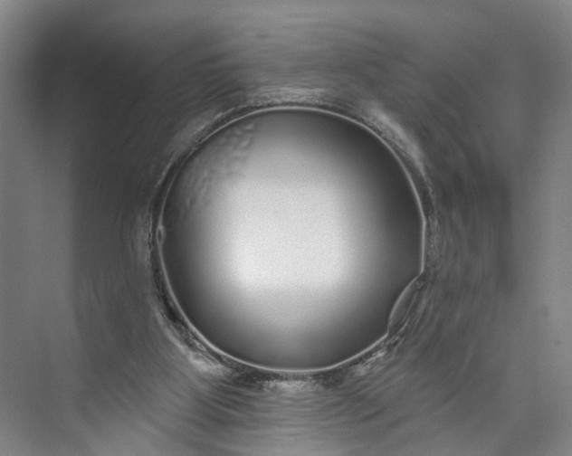 X0000072940107200608041252