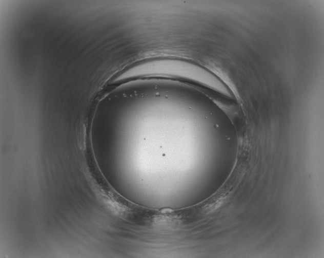 X0000072940109200608041252