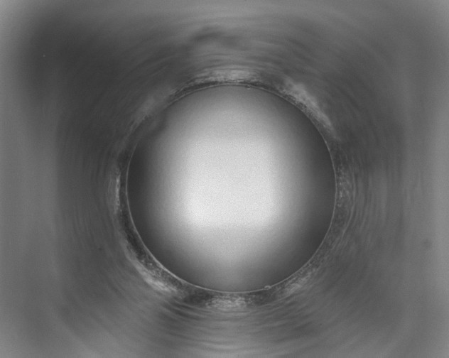 X0000072940110200608041252