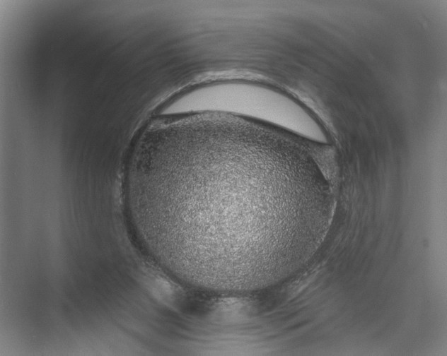 X0000072940111200608041252