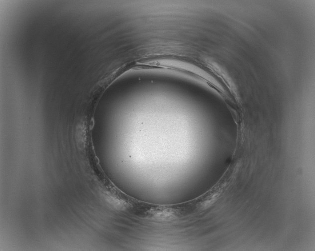 X0000072940113200608041252