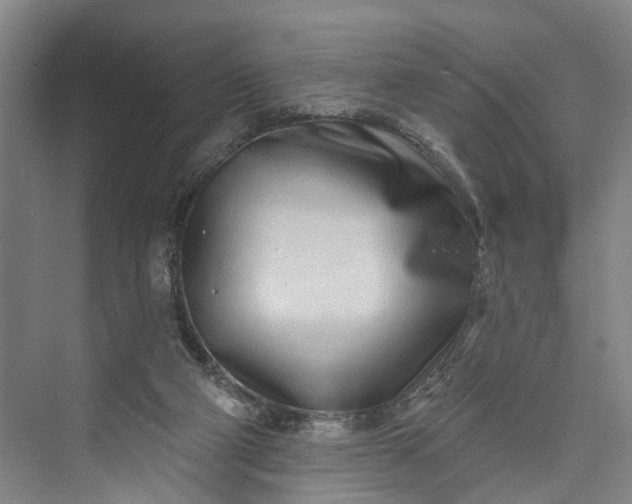 X0000072940114200608041252