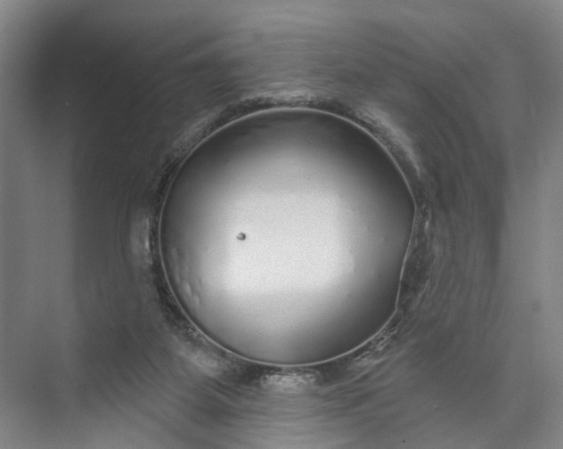 X0000072940115200608041252