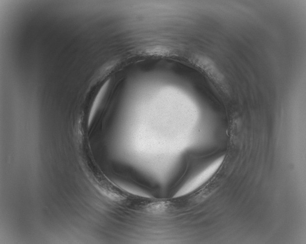 X0000072940116200608041252