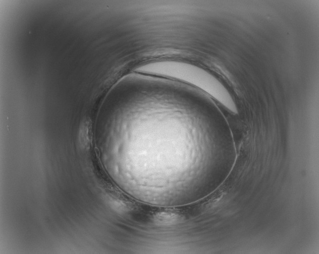 X0000072940119200608041252