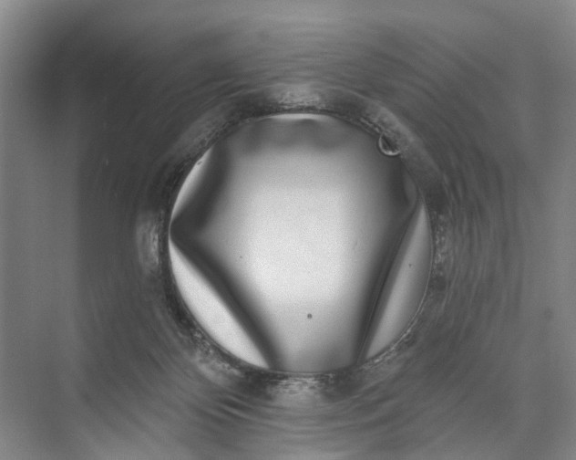 X0000072940124200608041252