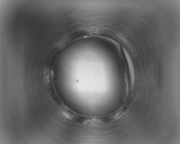 X0000072940125200608041252