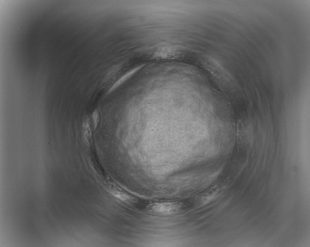 X0000072940127200608041252