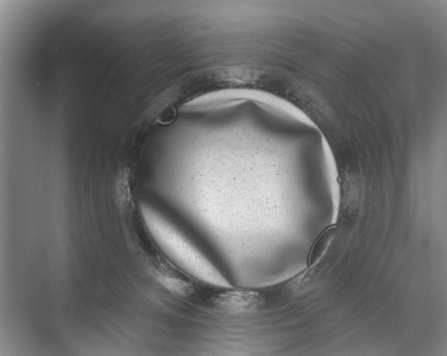 X0000072940128200608041252