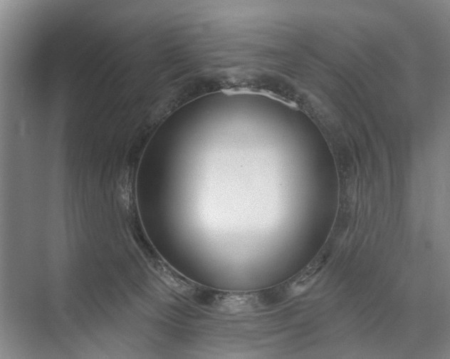 X0000072940129200608041252