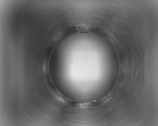 X0000072940134200608041252