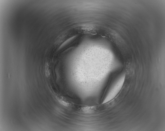 X0000072940136200608041251