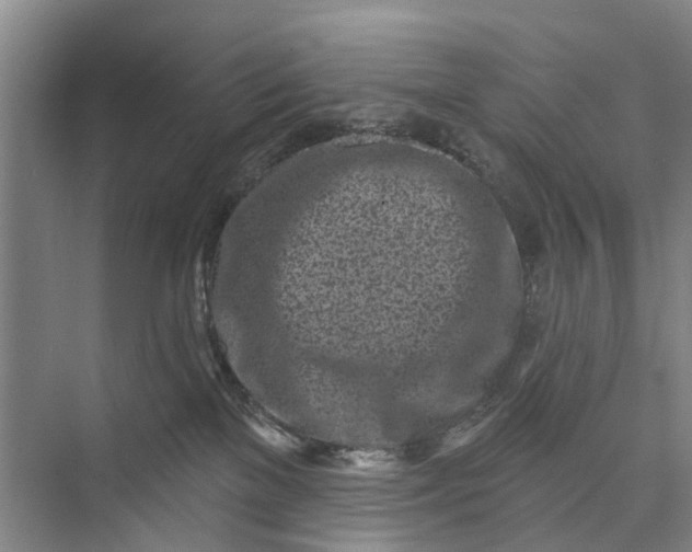 X0000072940137200608041251