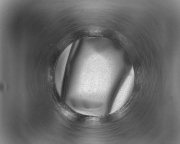 X0000072940140200608041251