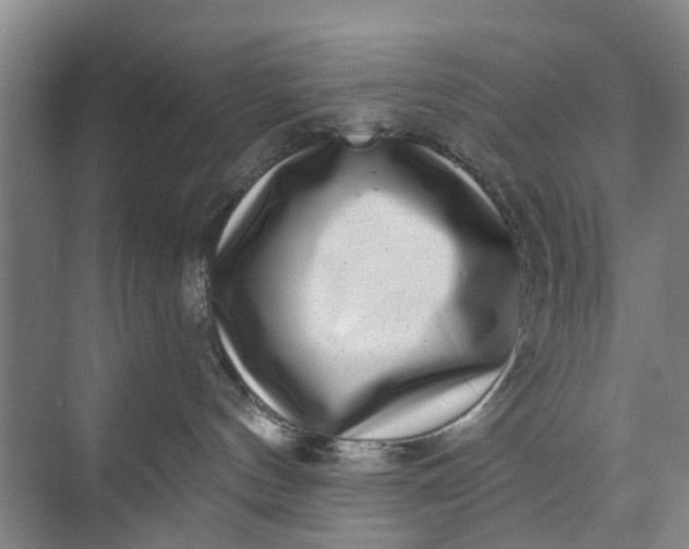 X0000072940144200608041251