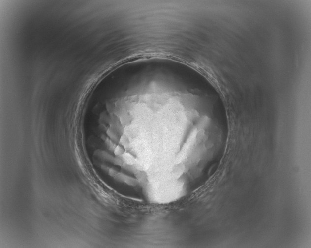 X0000072940145200608041251