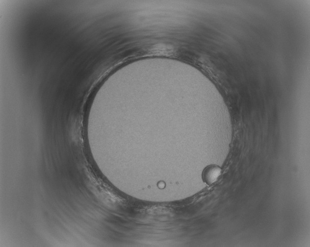 X0000072940146200608041251