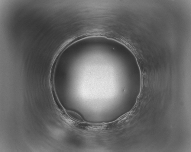 X0000072940147200608041251