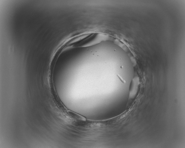 X0000072940152200608041251