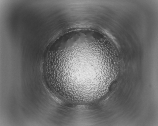 X0000072940153200608041251