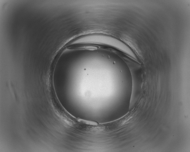 X0000072940156200608041251