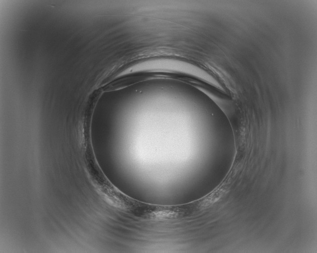 X0000072940158200608041251