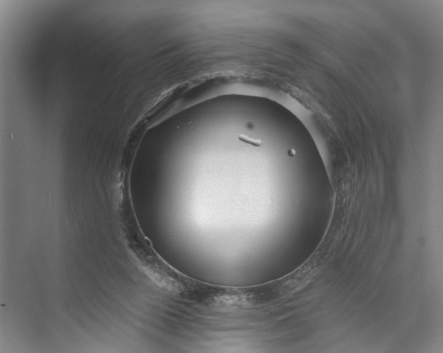 X0000072940160200608041251