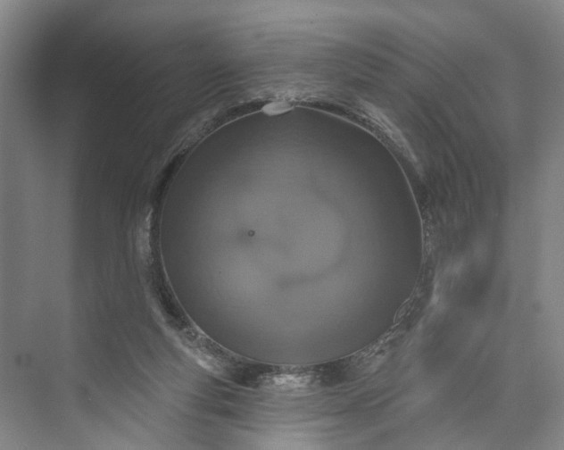 X0000072940163200608041251