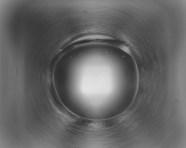 X0000072940164200608041251