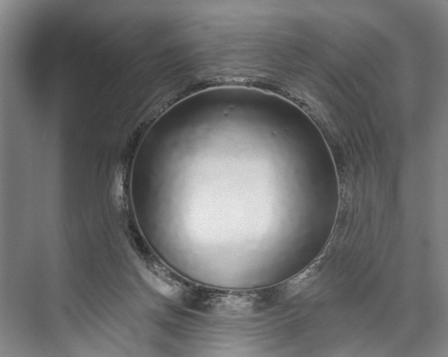 X0000072940166200608041251