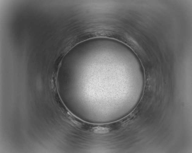 X0000072940169200608041251