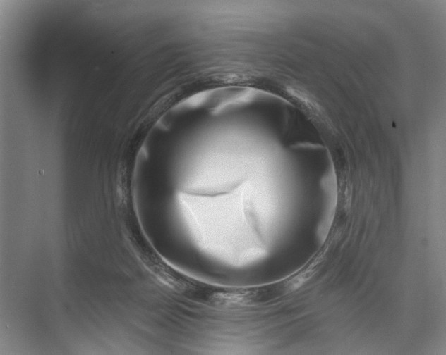 X0000072940170200608041251