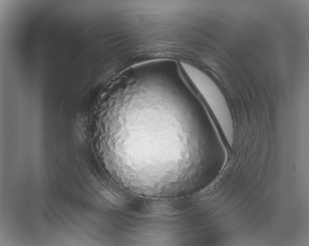 X0000072940171200608041251