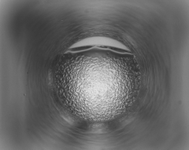 X0000072940173200608041251