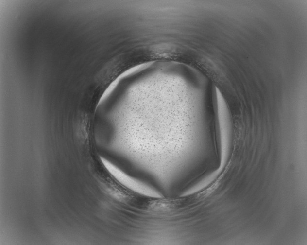 X0000072940174200608041251