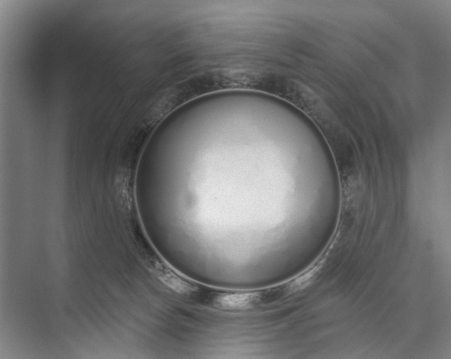 X0000072940178200608041251