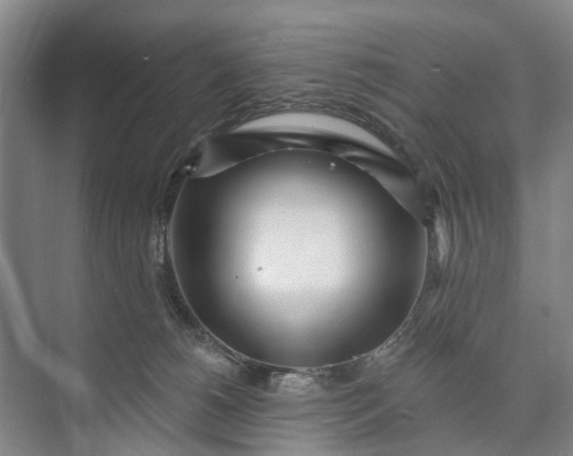 X0000072940180200608041251