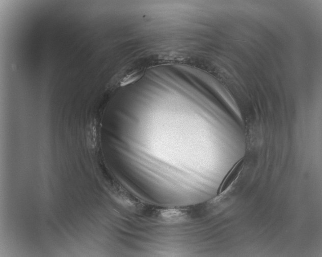 X0000072940183200608041251