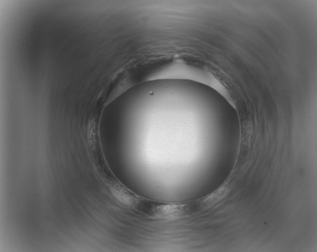 X0000072940184200608041251