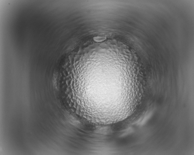 X0000072940185200608041251