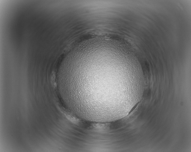 X0000072940187200608041251