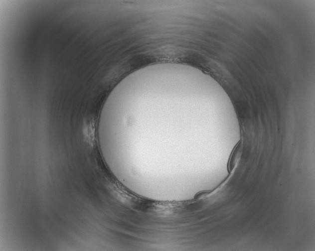 X0000072940190200608041251